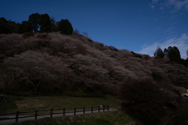 露光量調整前