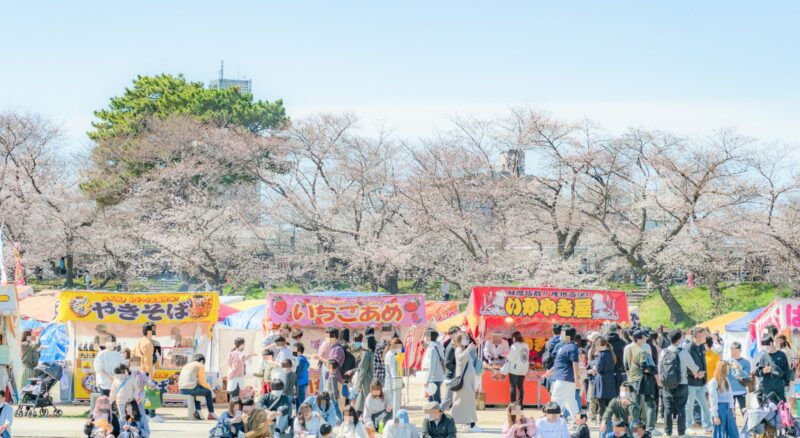桜と屋台