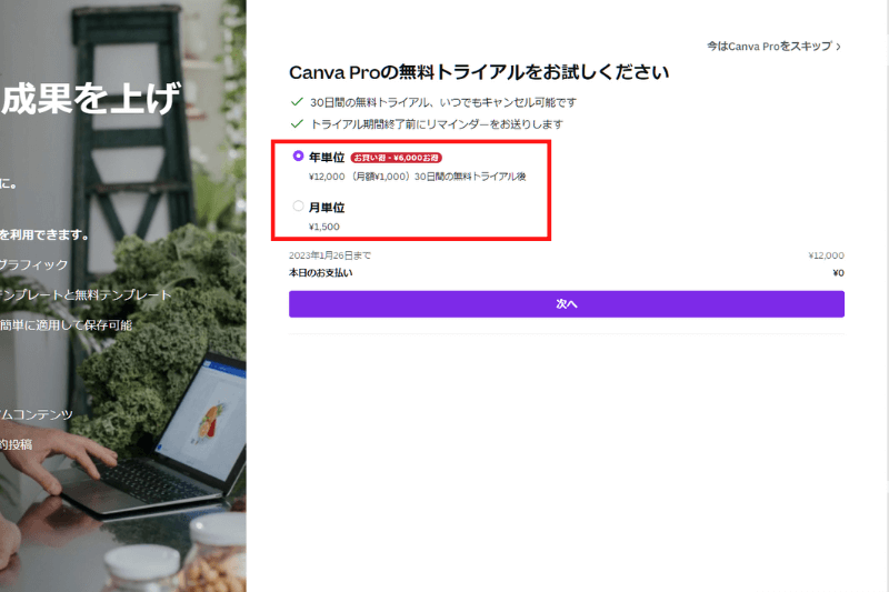 canva proの支払いプラン選択画面