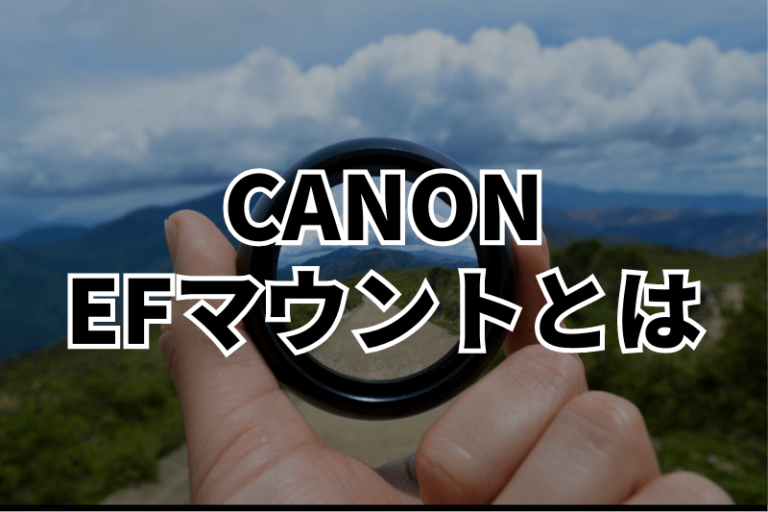 【2024年最新】CanonのEFマウントの安い神レンズおすすめ3選を紹介！【広角】【単焦点】