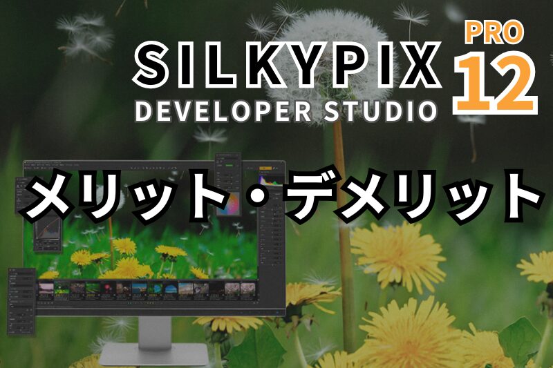silkypix12
