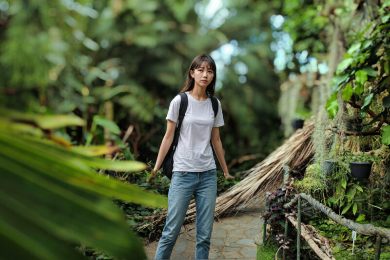 luminar neo gene conversion - failed